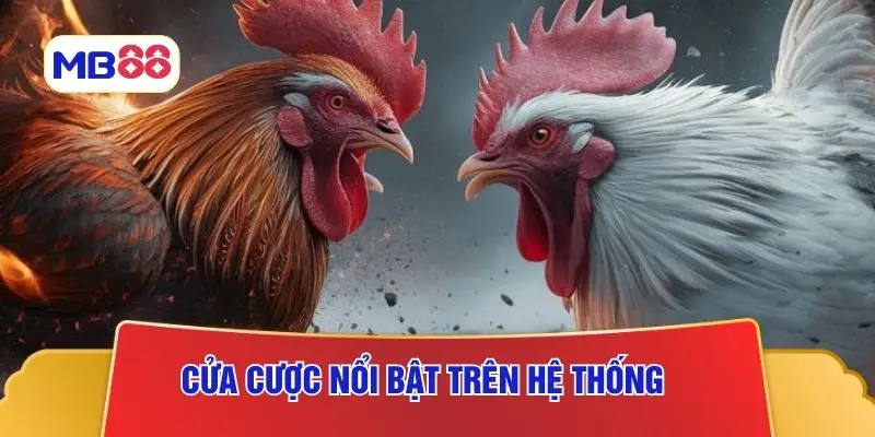Cửa cược nổi bật trên hệ thống