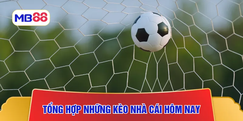 Tổng hợp những kèo nhà cái hôm nay cơ bản